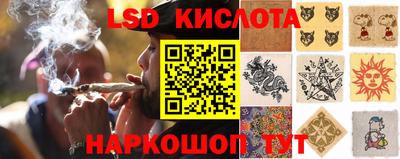 соль ск Моздок