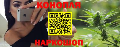 jwh Нальчик