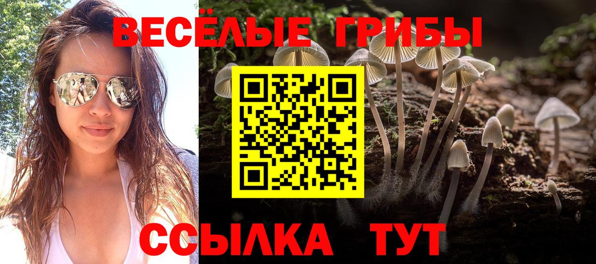 Галлюциногенные грибы GOLDEN TEACHER Славгород