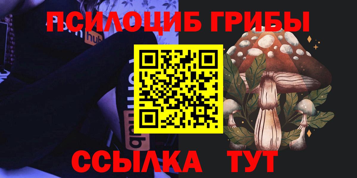 Галлюциногенные грибы Psilocybe  Вход с VPN  Славгород 